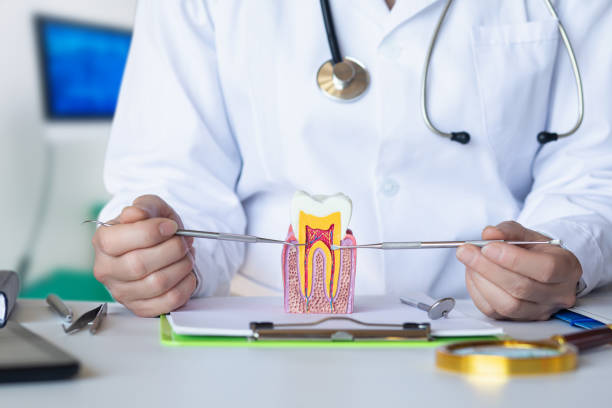 Best Emergency Dental Services for Seniors in Patterson, CA